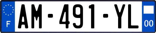 AM-491-YL
