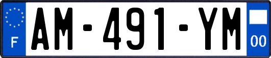 AM-491-YM