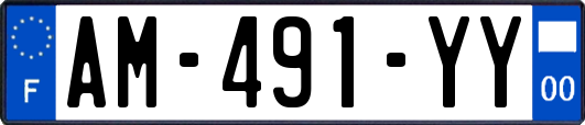 AM-491-YY