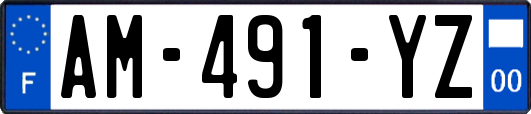 AM-491-YZ