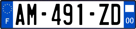 AM-491-ZD