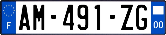 AM-491-ZG