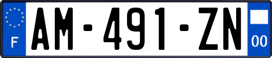 AM-491-ZN