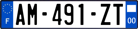 AM-491-ZT