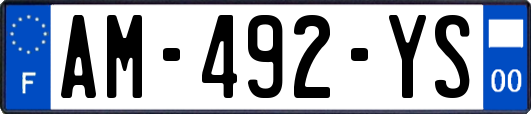 AM-492-YS