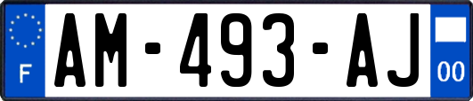 AM-493-AJ