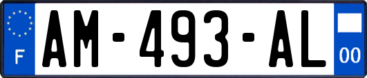 AM-493-AL