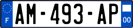 AM-493-AP