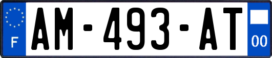 AM-493-AT