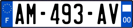 AM-493-AV