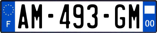 AM-493-GM