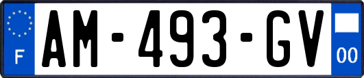 AM-493-GV