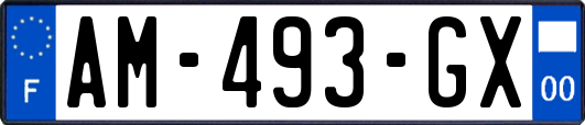 AM-493-GX