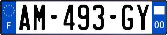 AM-493-GY