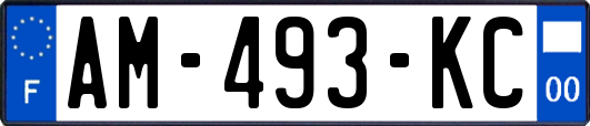 AM-493-KC