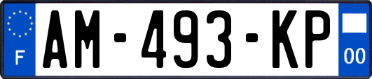 AM-493-KP