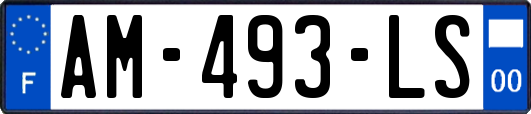 AM-493-LS
