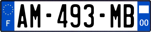 AM-493-MB