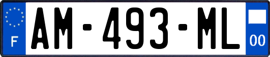 AM-493-ML