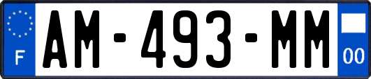 AM-493-MM