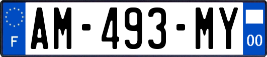 AM-493-MY