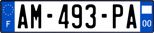 AM-493-PA