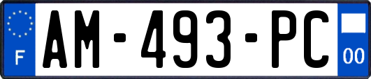 AM-493-PC