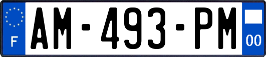 AM-493-PM