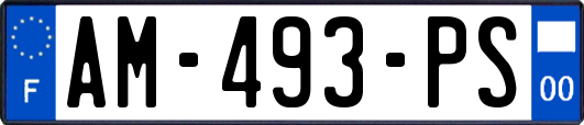 AM-493-PS