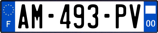 AM-493-PV