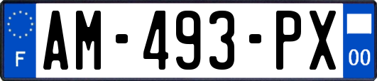 AM-493-PX