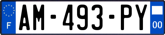 AM-493-PY