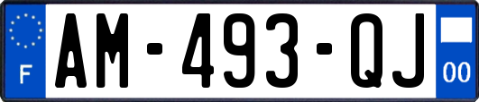 AM-493-QJ
