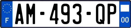 AM-493-QP