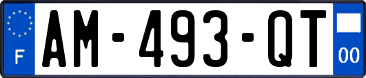 AM-493-QT