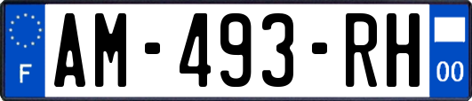 AM-493-RH