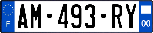 AM-493-RY