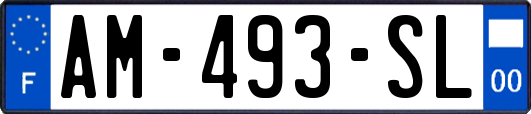 AM-493-SL