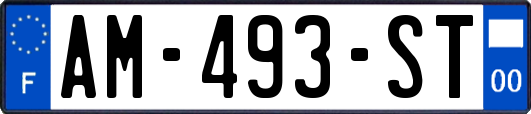 AM-493-ST