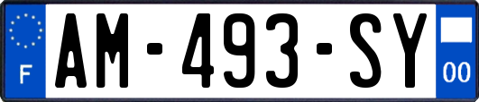 AM-493-SY