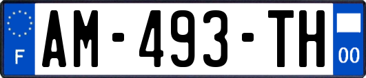 AM-493-TH