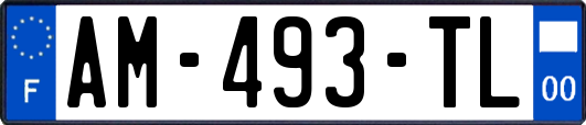 AM-493-TL