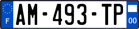 AM-493-TP