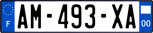 AM-493-XA