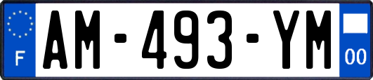 AM-493-YM