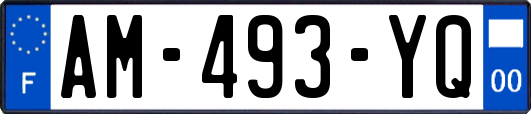 AM-493-YQ
