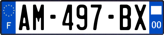 AM-497-BX