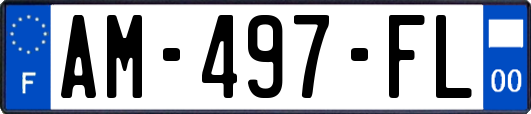 AM-497-FL