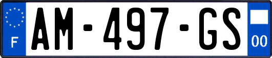AM-497-GS