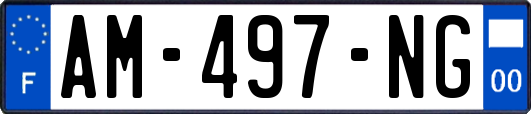 AM-497-NG